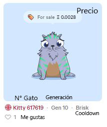 detalles_gato