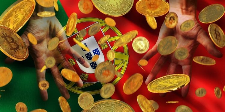 Imagen destacada por Алексей Струйский / stock.adobe.com