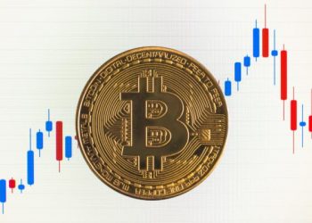 especuladores largo plazo bitcoin
