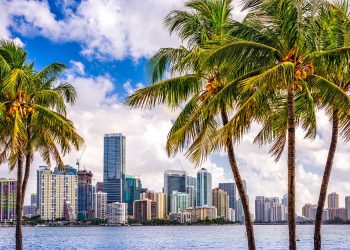 En promedio, un habitante de la ciudad de Miami posee unos USD 10.773 en criptomonedas en su cartera. Fuente:  SeanPavonePhoto/elements.envato.com
