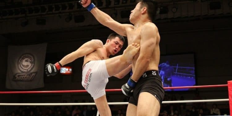 pelea-artes-marciales-mixtas