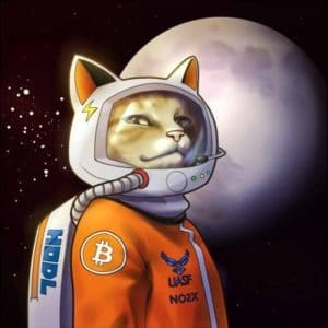 bitcoiner Antorcha Lightning 