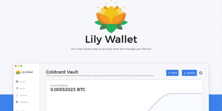 cartera fria criptomonedas transacción