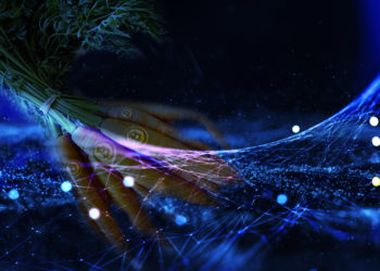 red plataforma BTC transacciones
