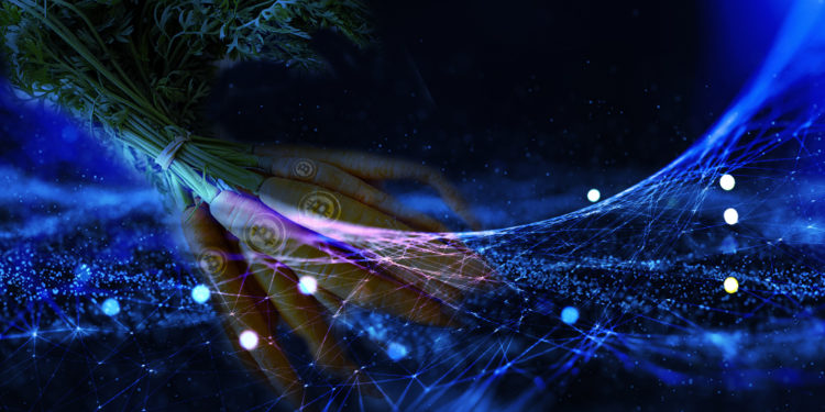 red plataforma BTC transacciones
