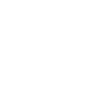 braiins-white