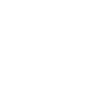 wirex-white